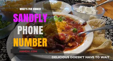Dinner Ideas, Sandfly Contacts, and Phone Numbers: A Quick Guide