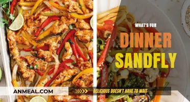 What's for Dinner Sandfly? Quick, Easy, and Tasty Meal Ideas