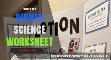 Exploring Dinner Science: Engaging Worksheets for Curious Young Minds