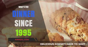 Dinner Trends and Timeless Recipes Since 1995: A Culinary Journey