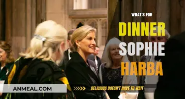 Sophie Harba's Dinner Ideas: Quick, Easy, and Delicious Recipes Tonight