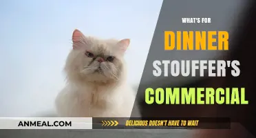 Stouffer's Commercial: What's for Dinner? A Nostalgic Look