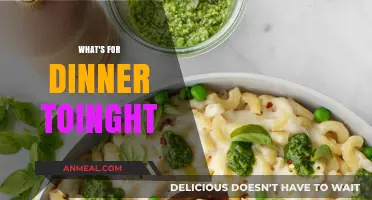 Quick and Easy Dinner Ideas for Tonight’s Perfect Meal