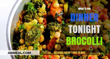 What's for Dinner Tonight? Broccoli-Inspired Meal Ideas to Try