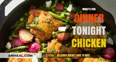 Delicious Chicken Dinner Ideas: Quick, Easy, and Flavorful Tonight