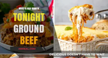 Quick Ground Beef Dinner Ideas: Easy Recipes for Tonight's Meal