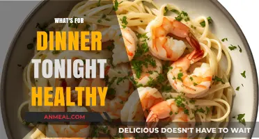 Quick Healthy Dinner Ideas: Tonight's Nutritious and Delicious Meal Plan