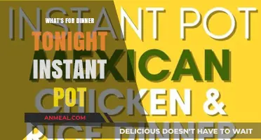 Quick & Easy Instant Pot Dinner Ideas for Tonight's Meal