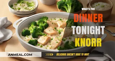 Quick Dinner Ideas: Knorr's Easy Recipes for Tonight's Meal