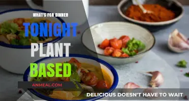 Delicious Plant-Based Dinner Ideas to Try Tonight at Home