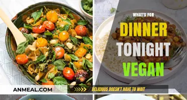 Delicious Vegan Dinner Ideas: Tonight's Plant-Based Menu Inspiration