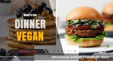Delicious Vegan Dinner Ideas to Spice Up Your Evening Meals