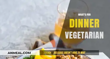 Delicious Vegetarian Dinner Ideas to Spice Up Your Evening Meals