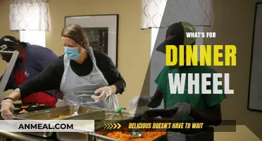 Spin Your Way to Easy Dinner Ideas with a Meal Wheel