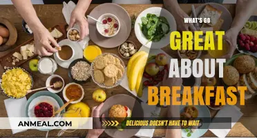 Why Breakfast is the Most Important Meal of the Day