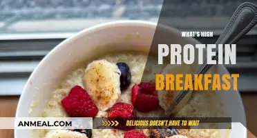 Fuel Your Morning: High-Protein Breakfast Ideas for Energy & Focus
