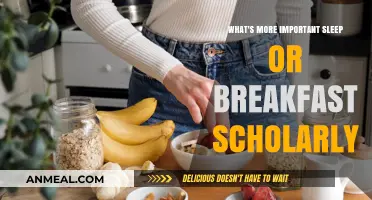 Sleep vs. Breakfast: Scholarly Insights on Prioritizing Morning Essentials