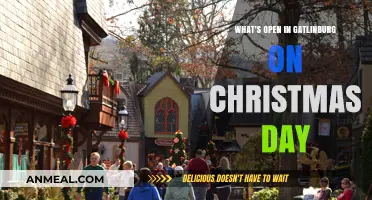 Christmas Day in Gatlinburg: What's Open?