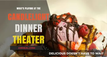 Discover the Enchanting Shows at Candlelight Dinner Theater Tonight