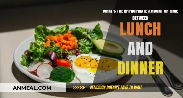 Optimal Meal Timing: How Long Should You Wait Between Lunch and Dinner?