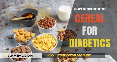Diabetic-Friendly Breakfast Cereals: Top Picks for Healthy Morning Energy