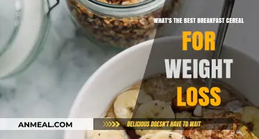 Healthy Breakfast Cereals to Kickstart Your Weight Loss Journey