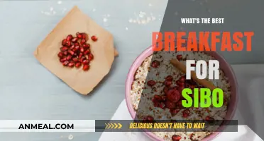 Sibo-Friendly Breakfast Ideas: Nourishing Meals to Start Your Day Right