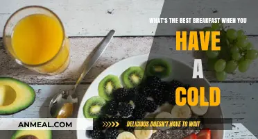 Boost Your Immunity: Top Breakfast Choices to Fight Cold Symptoms