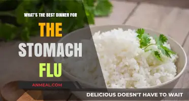 Soothing Stomach Flu Remedies: Gentle Dinner Ideas for Quick Recovery