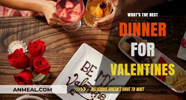 Romantic Valentine's Dinner Ideas: Perfect Recipes for a Cozy Evening