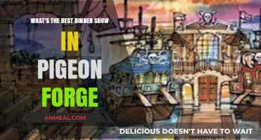 Discover Pigeon Forge's Top Dinner Show: A Must-See Experience