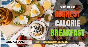 Fuel Your Day: Top High-Calorie Breakfast Ideas for Energy