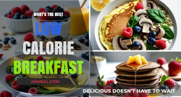 Healthy Low-Calorie Breakfast Ideas to Kickstart Your Day Right