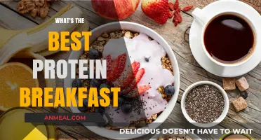 Fuel Your Morning: Top Protein-Packed Breakfast Ideas for Energy