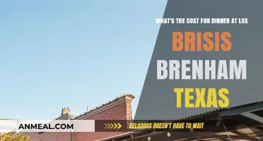 Dinner at Los Brisis Brenham Texas: Cost and Menu Highlights