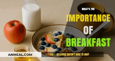 Why Breakfast is Essential for Energy, Focus, and Daily Success