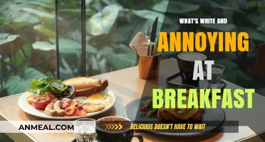 The Breakfast Intruder: Why White Noise Ruins Your Morning Calm