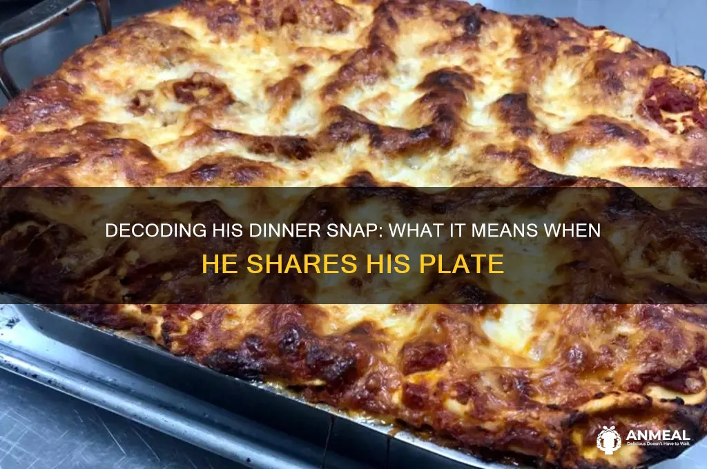 when a guy sends you a picture of his dinner