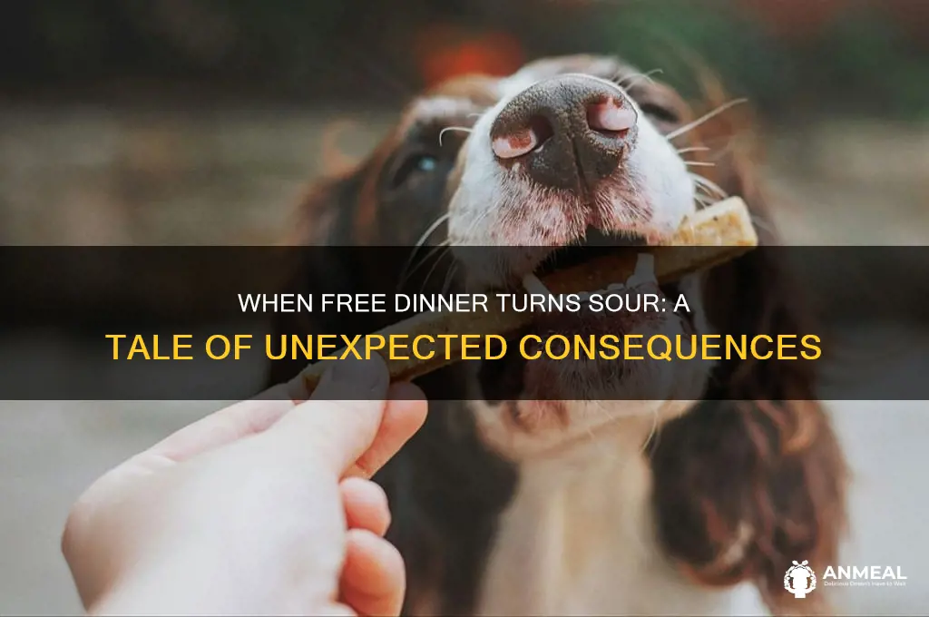 when all you wanted was free dinner
