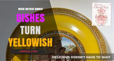 Why Antique Dinner Dishes Turn Yellowish: Causes and Preservation Tips