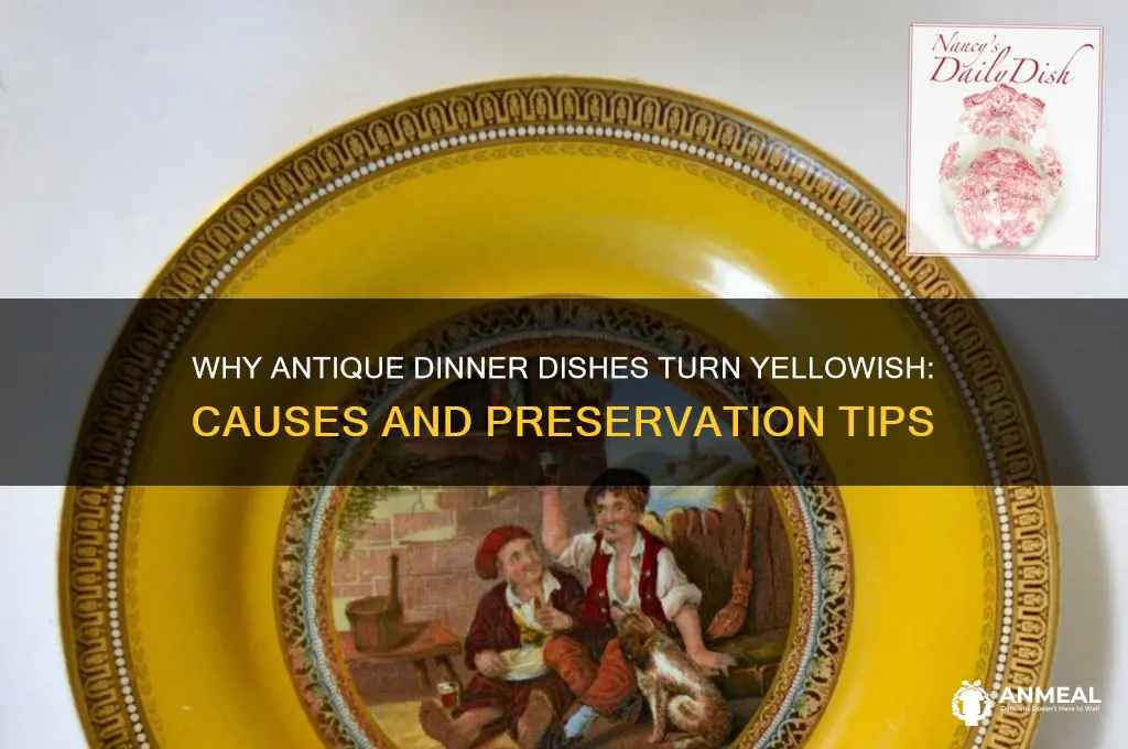 when antique dinner dishes turn yellowish