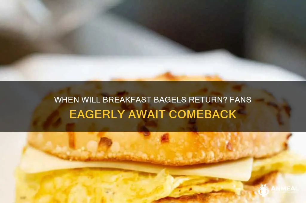 when are breakfast bagels coming back
