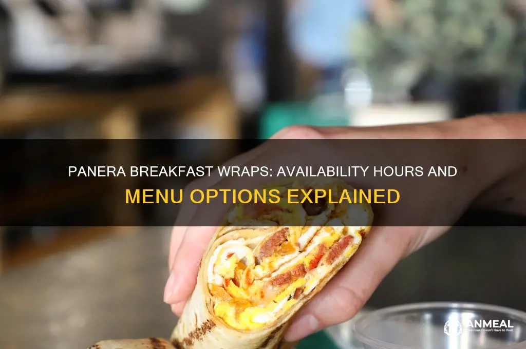 when are breakfast wraps available at panera