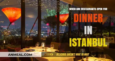 Istanbul Dinner Hours: When Restaurants Open for Evening Dining