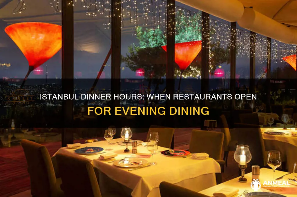 when are restaurants open for dinner in istanbul