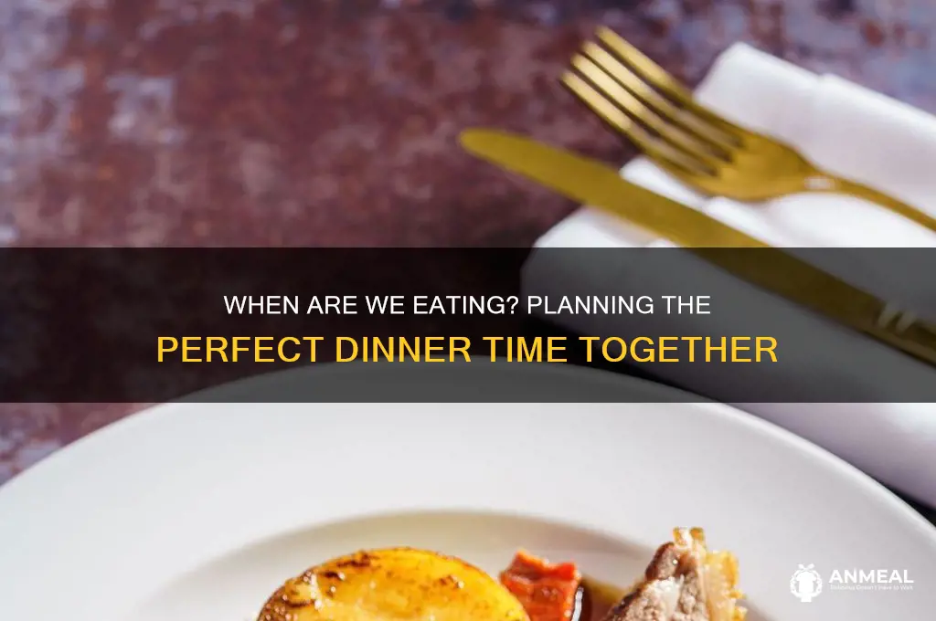 when are we going to have dinner