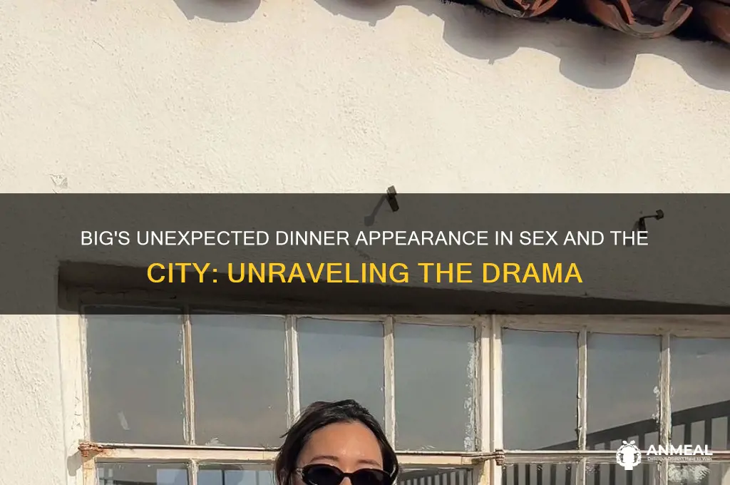when big shows up to dinner sex and the city