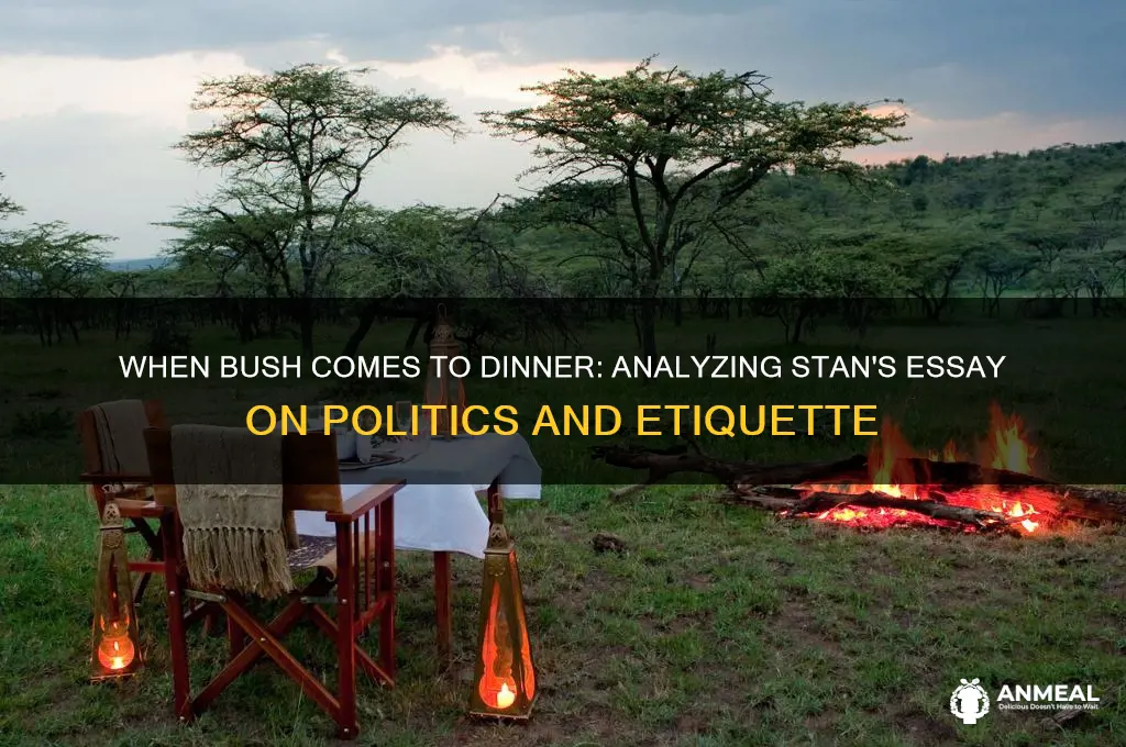 when bush comes to dinner stans essay