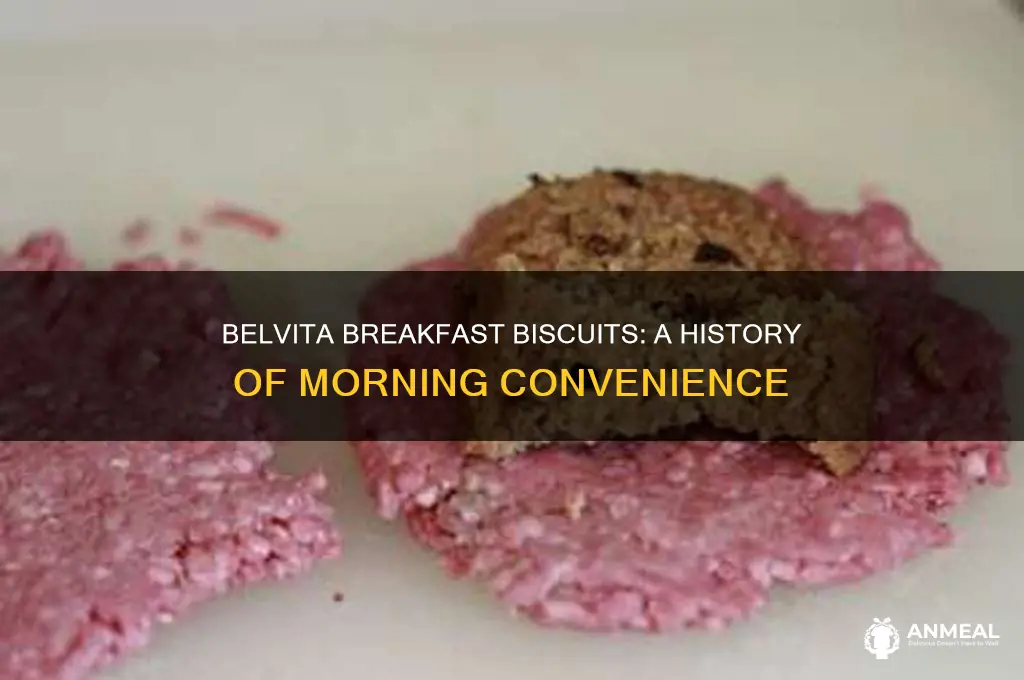 when did belvita breakfast biscuits