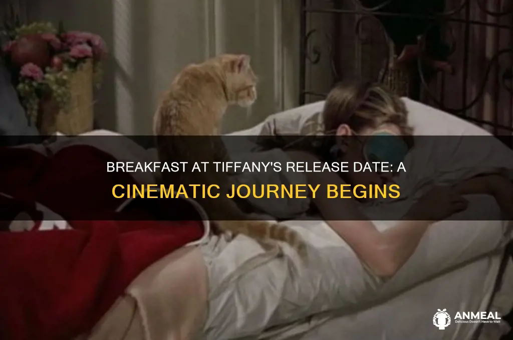 when did breakfast at tiffanies come out
